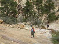 124-heading_back_through_Oak_Creek_Canyon