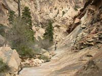 126-heading_back_through_Oak_Creek_Canyon-interesting_terracing