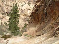 128-Oak_Creek_and_small_Ponderosa_forest_with_terracing_slabs