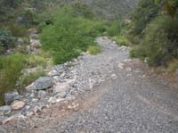 07-natural_spring_about_1.75_miles_up_Rocky_Gap