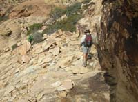 36-Hmmm-are_there_any_laws_against_talking_on_a_cell_phone_while_scrambling_down_rocks