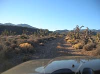 05-dirt_road_and_views