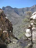 48-we_are_going_down_a_different_way_into_a_canyon-Harlan's_picture