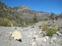 07-we_came_from_this_area