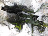 21-enough_moisture_for_plant_growth_around_vent