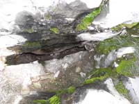 22-surprising_to_find_steam_in_Red_Rock_area-more_expected_around_Hoover_Dam_area_with_hot_springs