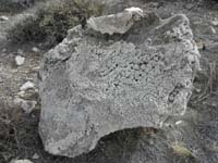 32-same_rock_but_from_other_side-not_so_smooth_but_still_pretty