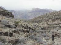 47-Peppe_and_pretty_views_in_the_canyon