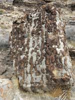 48-more_fused_rock-very_neat_formation