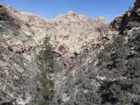 60-scenic_view_down_canyon_including_Bridge_Mountain