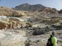 017-pretty_area-very_few_people_visit_this_part_of_Calico_Basin