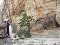 022-we_passed_by_very_neat_pictographs_panel_a_few_thousand_years_old