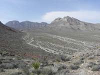 098-looking_back_to_Damsel-used_to_be_able_to_drive_here_but_closed_off_since_Howard_Hughes_Corp_owned