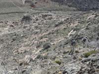 100-hiking_down-surprisingly_we_saw_cars_on_dirt_road-heading_to_visible_trail