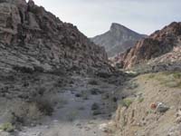 106-looking_back_up_another_canyon_towards_Turtlehead_Peak-this_area_not_well_visited_by_public