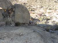 06-Eric_scrambling_up_some_limestone