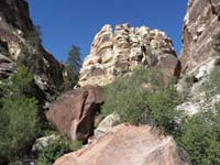06-Pine_Creek_fork-take_right_fork