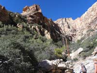 20-pretty_scenery-heading_up_vegetative_area_to_upper_left