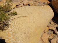 54-interesting_patterns_in_sandstone_rock