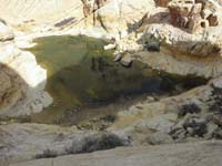 43-Calico_Tank-three_weeks_ago_it_was_frozen_solid-I_walked_to_middle
