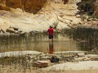 41-time_to_play_in_the_water_again