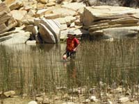 43-useless_to_pull_up_his_pants_when_walking_in_the_water