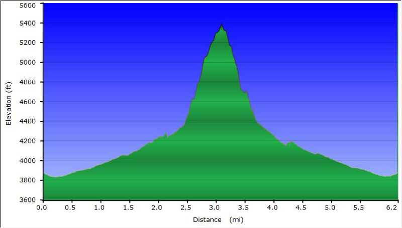 59-hike_profile