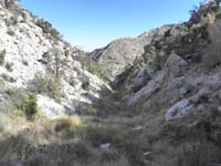 47-we've_finally_reached_the_natural_spring_feeding_Waterfall_Canyon-very_neat_and_serene_grassy_area