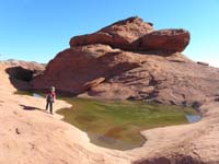 20-pond_below_peak-no_shrimp_swimming