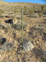 32-no_idea_why_this_boulder_is_tied_to_the_fence_with_wire_in_this_manner