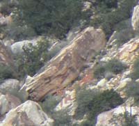 01-rock_.75_miles_loop_where_dinosaur_tracks_located