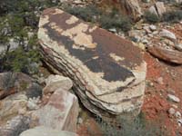 02-rock_containing_dinosaur_tracks-tough_move_to_get_on_and_off_the_rocks-very_steep_angle