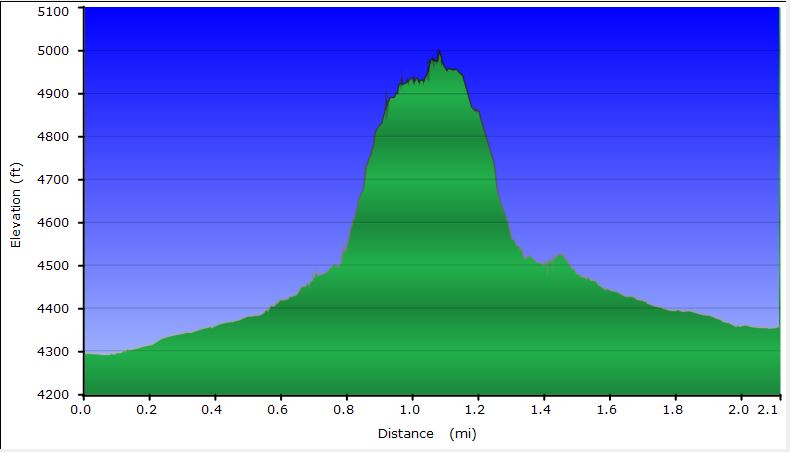 31-hike_profile