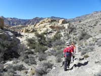 25-back_to_the_trail,so_close_to_the_parking_lot_yet_feels_like_the_middle_of_nowhere