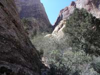 59-looking_back-drops_1500_feet_in_.8_miles_for_35_percent_grade