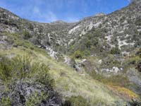 56-scenic_views_of_La_Madre_Spring_area-much_better_light_in_afternoon_than_morning