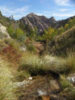 57-scenic_views_of_La_Madre_Spring_area