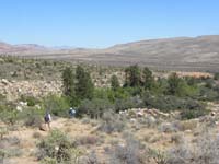 39-group_walking_along_First_Creek_drainage