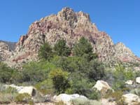 40-First_Creek_drainage_vegetation_with_Rainbow_Peak_in_background