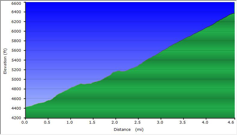 95-dirt_road_profile