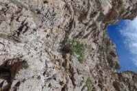 39-interesting_scrambling_fun_to_the_top
