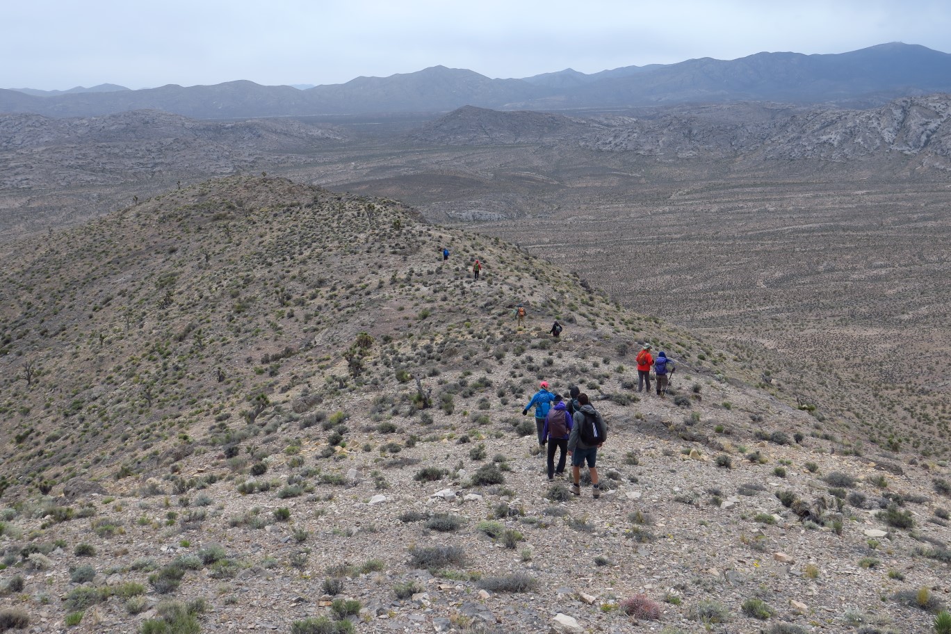 22-group_descending_from_peak