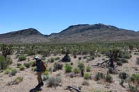 01-Ed_with_Graduation_Peak_in_distance-heading_up_wash_in_center,then_R_to_peak-parked_1.2_miles_further_up_road