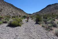 03-heading_up_the_wash,then_ridge_to_right_to_peak