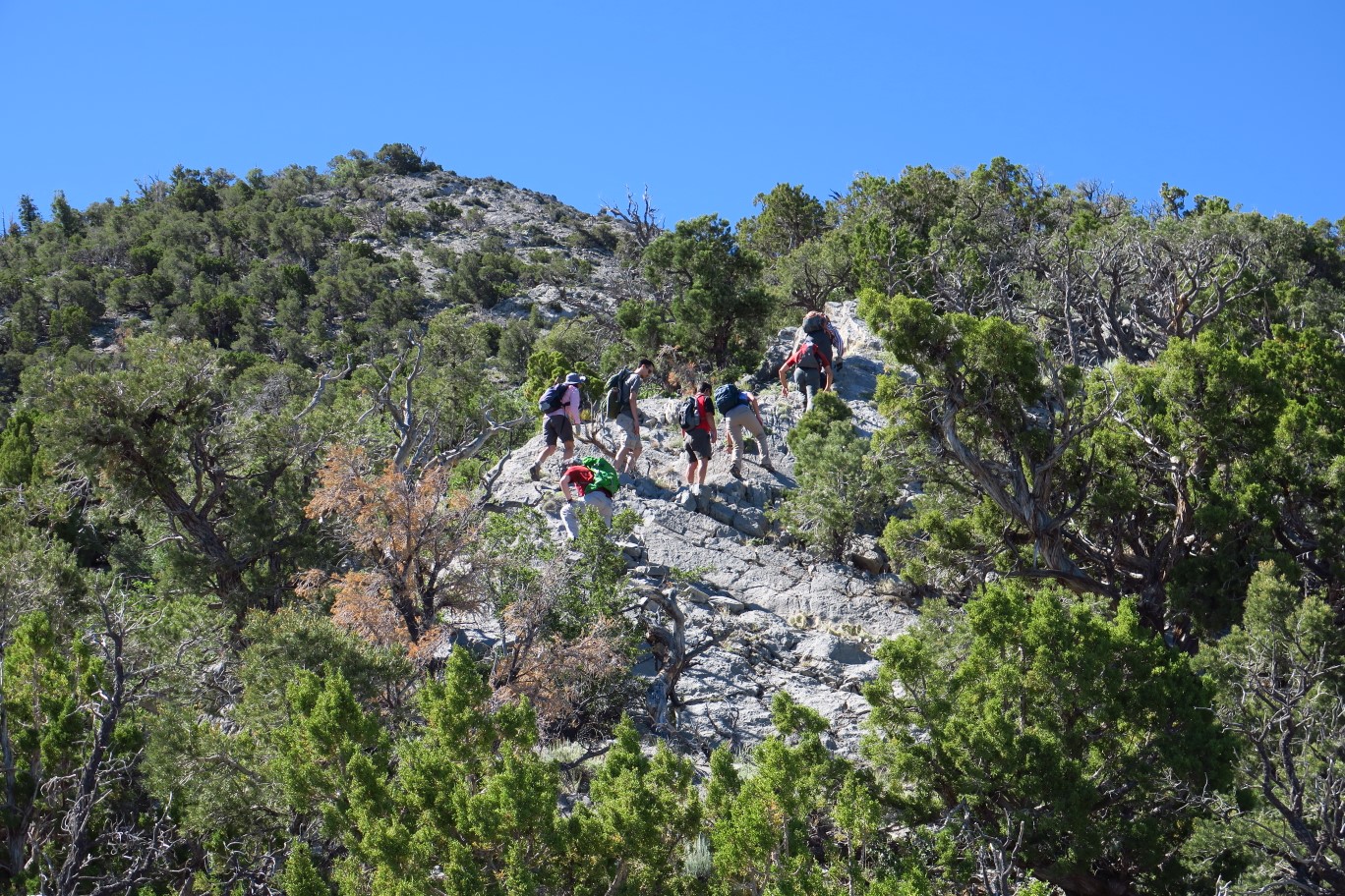 14-group_scrambling