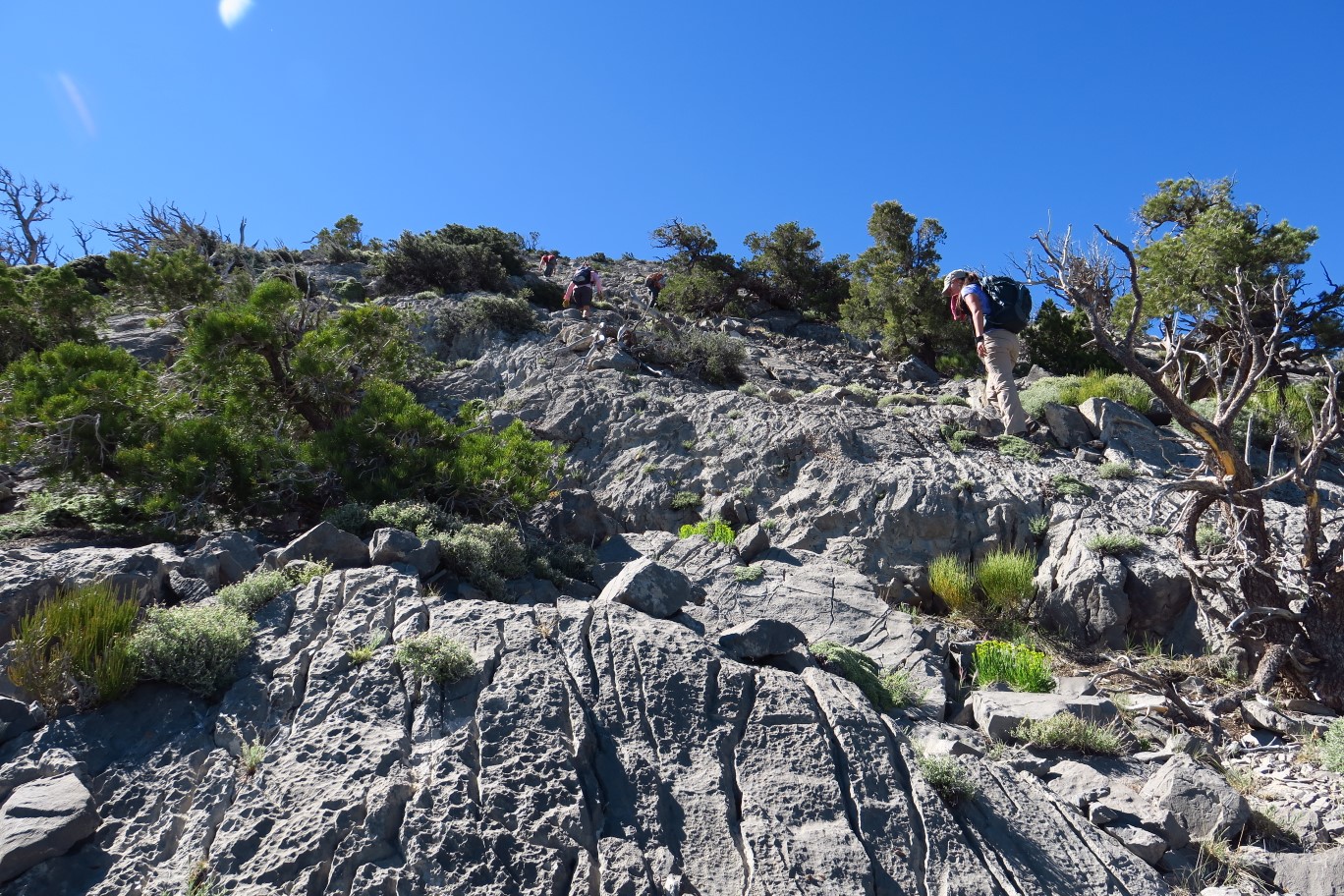 15-group_scrambling