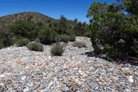 48-agave_roasting_pit-interesting_assorted_rock_pieces,uncharacteristic_of_the_terrain