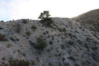 26-looking_back_to_lonley_pinyon_and_peak-sun_getting_low