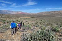 90-group_walking_back_to_road_enjoying_the_scenery_along_the_way