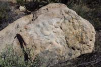 12-our_rock_after_the_water_dried-definitely_looks_like_we_scrubbed_the_rock